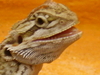 Benutzeravatar