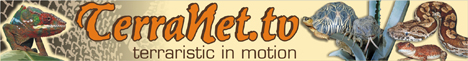 TerraNet.tv
