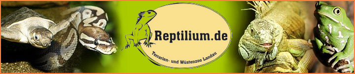 Reptilium Landau