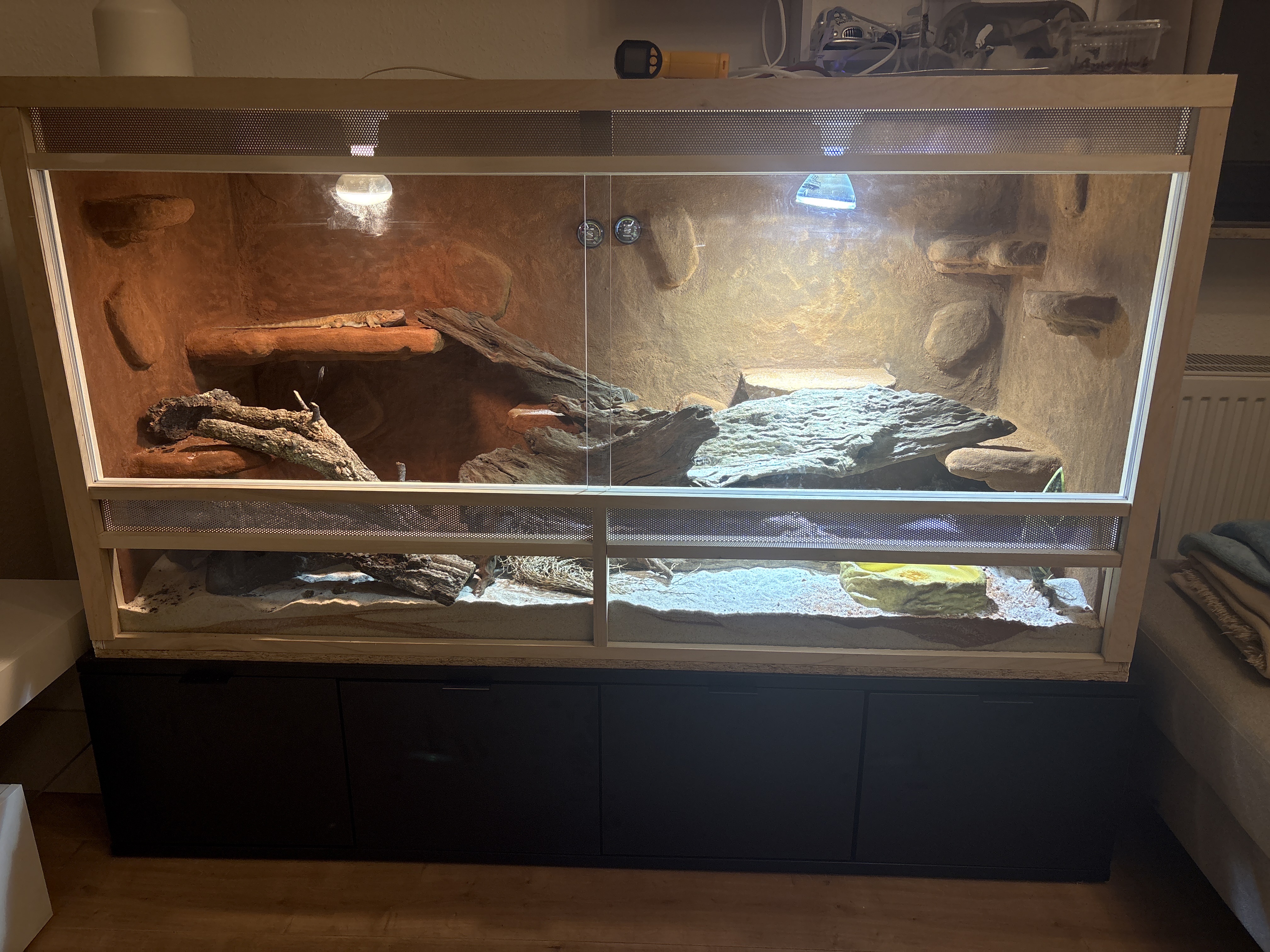 Unser komplettes Terrarium