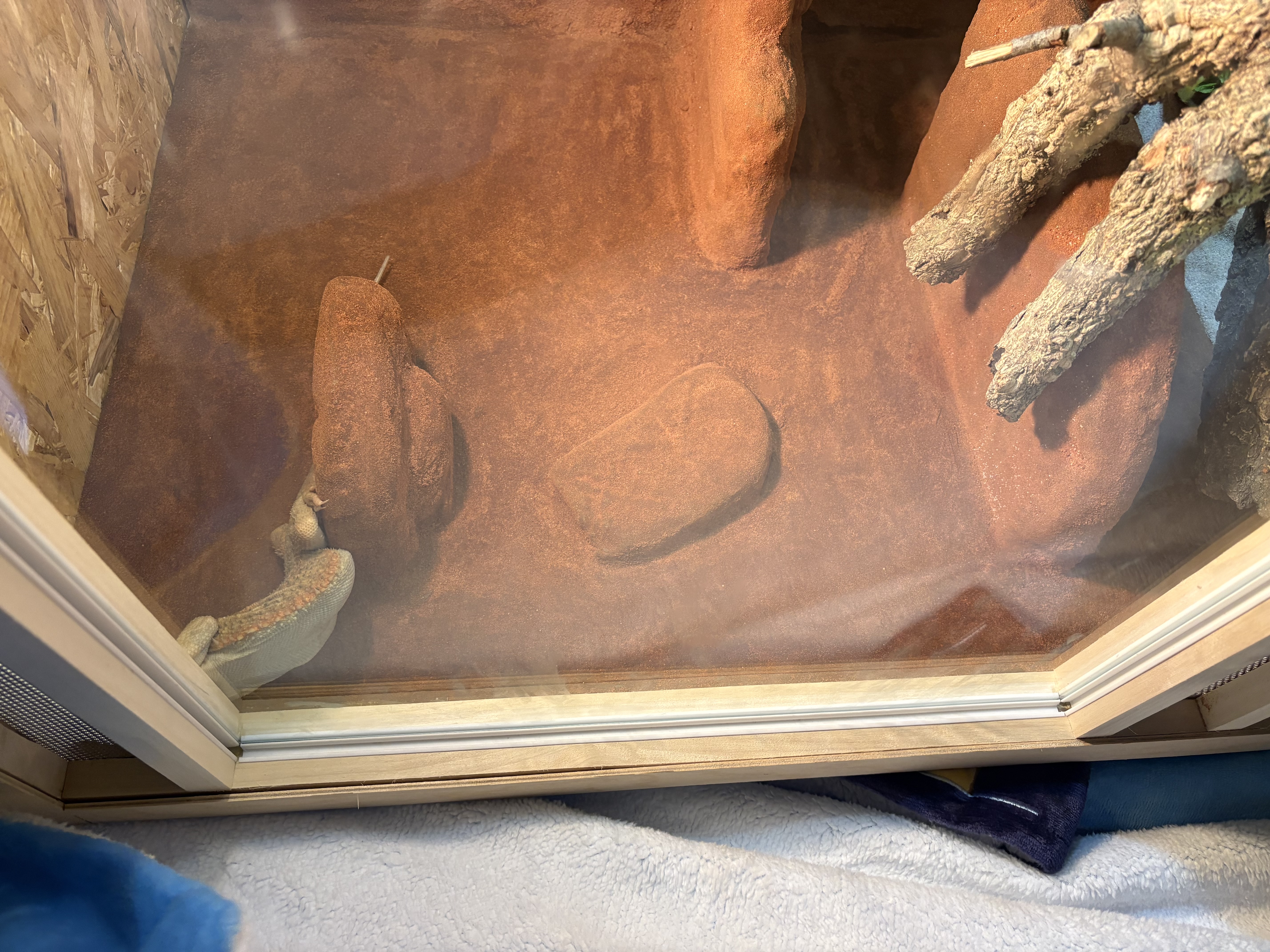 So hing der kleine Kerl vorher da immer, selbst über Nacht.